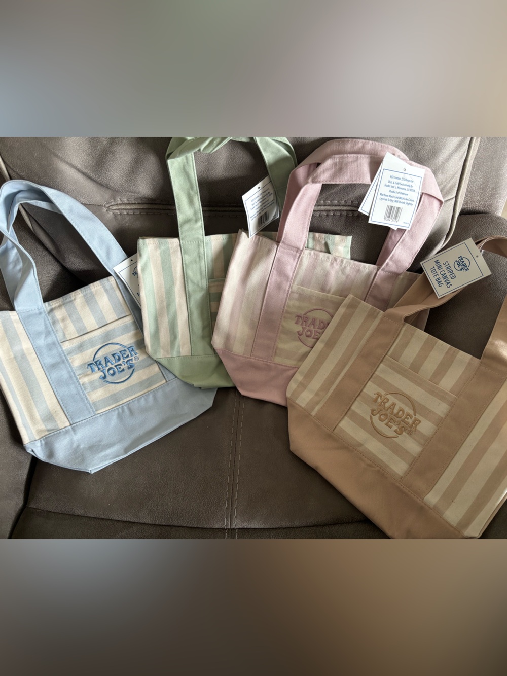 Pastel Stripe Canvas Tote Bag - Blue, Green, Pink, Tan Options